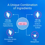 Nutramax Cosequin Joint Health Plus Boswellia para Gatos (60 Cápsulas): Suplemento Articular con Glucosamina, Condroitina y Soporte Inflamatorio Natural - Imagen 6