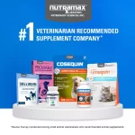 Nutramax Cosequin Joint Health Plus Boswellia para Gatos (60 Cápsulas): Suplemento Articular con Glucosamina, Condroitina y Soporte Inflamatorio Natural - Imagen 8