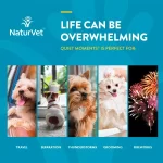 NaturVet Quiet Moments Suplemento Calmante para Perros con Melatonina: Alivia Ansiedad por Tormentas, Viajes y Pirotecnia, 70 Masticables Suaves - Imagen 3