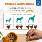 Zesty Paws Senior Advanced Calming Cognition Bites para Perros Mayores: Suplemento Relajante y de Apoyo Cognitivo, Ayuda con el Estrés y la Memoria, Sabor Pollo - Imagen 3