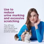 Comfort Zone Difusor Calmante para Gatos: Kit de Inicio con Feromonas para Reducir el Marcaje Urinario, Arañazos Destructivos y Estrés Felino - Imagen 5