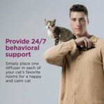 Comfort Zone Difusor Calmante para Gatos: Kit de Inicio con Feromonas para Reducir el Marcaje Urinario, Arañazos Destructivos y Estrés Felino - Imagen 6