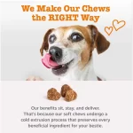 Zesty Paws Probiotic Bites para Perros: Suplemento de Salud Digestiva e Inmune con Prebióticos y Probióticos, 3 Billones de UFC por Bocado - Imagen 4
