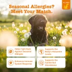 Zesty Paws Aller-Immune Bites para Perros (90 Masticables): Suplemento para Alergias Estacionales, Soporte Inmune y Salud Intestinal con EpiCor, Calostro y Probióticos - Imagen 5
