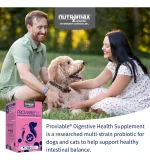 Nutramax Proviable Suplemento de Salud Digestiva para Perros: Probióticos y Prebióticos para el Equilibrio Intestinal, 60 Tabletas Masticables - Imagen 6