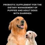 Purina Pro Plan FortiFlora® Suplemento Probiótico Veterinario para Perros: Apoyo a la Salud Digestiva e Inmune - 45 Tabletas Masticables - Imagen 4