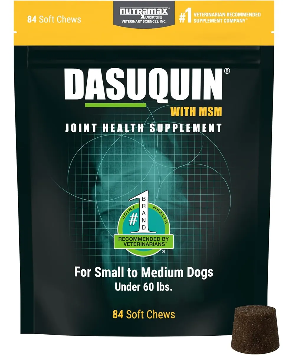 D_NQ_NP_2X_678085-MCO95977356166_102025-F Nutramax Dasuquin® con MSM Soft Chews: Suplemento Articular Avanzado para Perros Pequeños y Medianos (Menos de 60 lb), 84 Masticables Blandos - Imagen 1