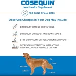 Cosequin DS Plus MSM: Suplemento de Salud Articular para Perros (60 Bocaditos Blandos), Con Glucosamina, Condroitina y MSM, Apoya la Movilidad y el Cartílago - Imagen 3