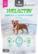 Welactin® Omega-3: Suplemento de Aceite de Pescado de Alta Concentración (EPA y DHA) para Perros, Apoyo a la Piel, Articulaciones, Corazón y Función Cognitiva