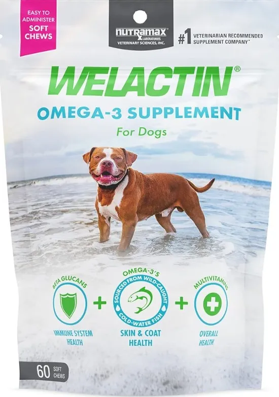 D_NQ_NP_2X_722321-MLA99362459932_112025-F Welactin® Omega-3: Suplemento de Aceite de Pescado de Alta Concentración (EPA y DHA) para Perros, Apoyo a la Piel, Articulaciones, Corazón y Función Cognitiva - Imagen 1