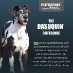 Nutramax Dasuquin con MSM para Perros Grandes (84 Masticables Suaves): Suplemento Articular #1, Soporte Avanzado con ASU, Glucosamina y Condroitina - Imagen 3
