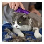 Cepillo KONG ZoomGroom para Gatos: Masajeador y Deslanador de Caucho Natural para Eliminar Pelo Muerto y Estimular la Piel - Imagen 5