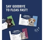 PetArmor CAPACTION (Nitenpyram): Tratamiento Oral de Acción Rápida contra Pulgas para Gatos (Comprimidos), Elimina Pulgas Adultas en 6 Horas, Dosis Única - Imagen 5