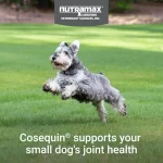 Cosequin Minis Plus MSM & Boswellia para Perros Pequeños: Suplemento Articular Profesional, 45 Masticables Blandos (Soft Chews) - Imagen 5