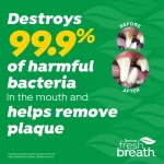 TropiClean Enticers Teeth Cleaning Gel para Gatos: Gel Dental Sabor Pollo Marinado en Miel, Elimina 99.9% de Bacterias, Combate Placa y Sarro (59 ml / 2 oz) - Imagen 5