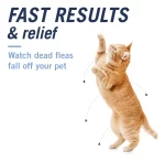 PetArmor CAPACTION (Nitenpyram): Tratamiento Oral de Acción Rápida contra Pulgas para Gatos (Comprimidos), Elimina Pulgas Adultas en 6 Horas, Dosis Única - Imagen 6