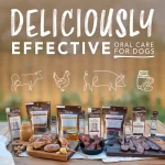 TropiClean Enticers Teeth Cleaning Gel para Gatos: Gel Dental Sabor Pollo Marinado en Miel, Elimina 99.9% de Bacterias, Combate Placa y Sarro (59 ml / 2 oz) - Imagen 3