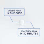 PetArmor CAPACTION (Nitenpyram): Tratamiento Oral de Acción Rápida contra Pulgas para Gatos (Comprimidos), Elimina Pulgas Adultas en 6 Horas, Dosis Única - Imagen 7