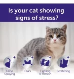 Feliway Optimum Recarga (Dúo Pack - 2 x 48ml): El Mejor Complejo de Feromonas para Gatos, 60 Días de Calma Avanzada contra Estrés y Conflictos - Imagen 6