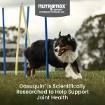 Nutramax Dasuquin con MSM para Perros Grandes (84 Masticables Suaves): Suplemento Articular #1, Soporte Avanzado con ASU, Glucosamina y Condroitina - Imagen 7