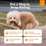 Zesty Paws Chew No Poo Bites: Suplemento Contra la Coprofagia para Perros, Disuasor de Ingestión de Heces con Probióticos y Enzimas, Sabor Pollo (90 Bocaditos) - Imagen 4