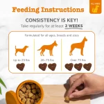 Zesty Paws Stay Green Bites: Suplemento para Evitar Manchas de Orina en el Césped, con DL-Metionina y Enzimas Digestivas, Sabor Pollo (90 Bocaditos) - Imagen 3