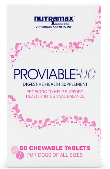 Proviable-DC Digestive Health Supplement tabletas masticables para perros