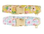Collar Neopreno Floral Top Paw Para Perro Talla L X2 Unid