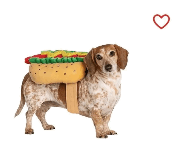 Disfraz De Perrito Caliente Talla L