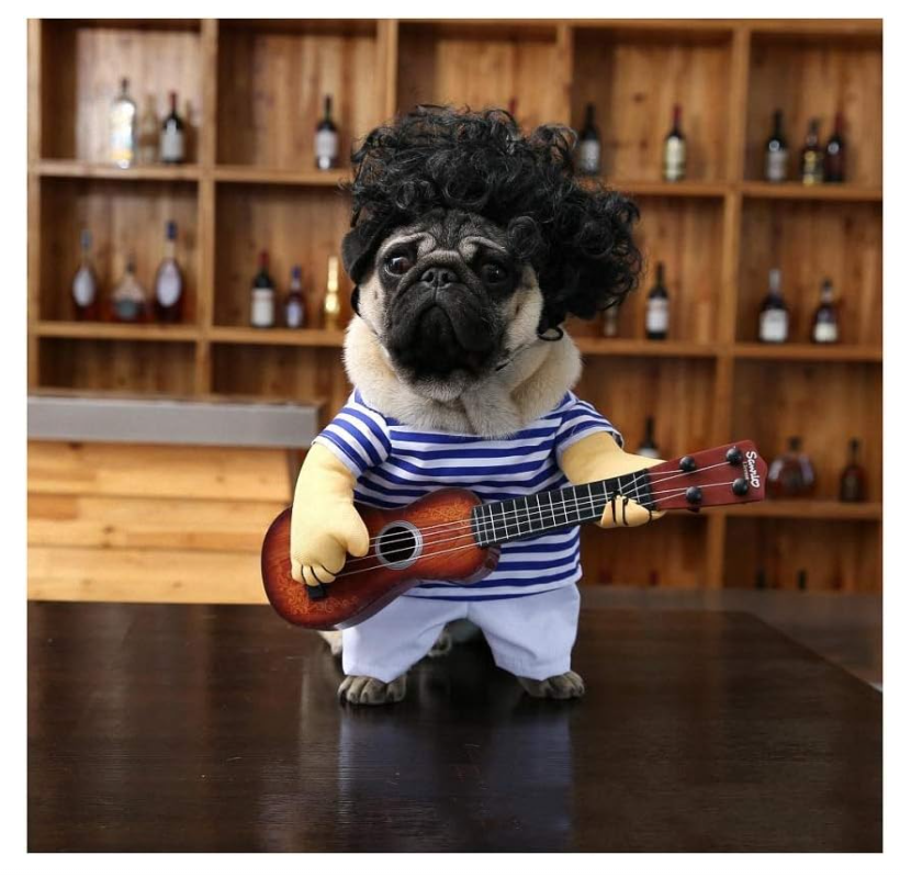 Screenshot_1-134-2.png Disfraz de Mascota Tocando La Guitarra Talla L - Imagen 1