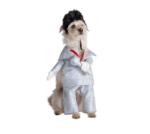 Disfraz Estrella De Rock Para Perro Talla L