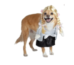 Disfraz Estrella De Rock Femenina Para Perro Talla L