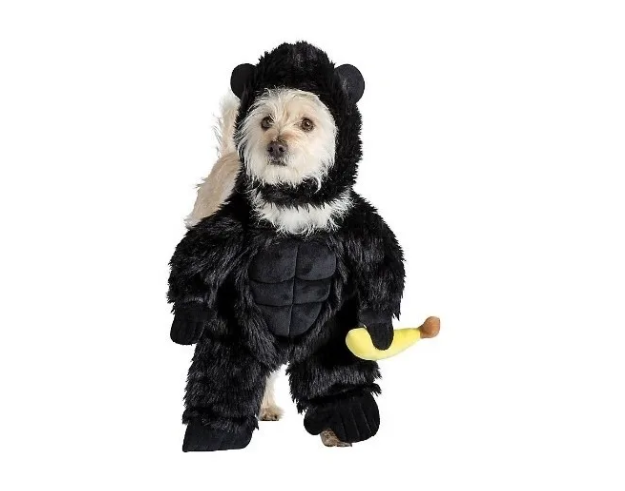 Screenshot_1-160.png Disfraz De Para Perro/gato De Gorila - Imagen 1