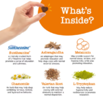 Zesty Paws Hemp Elements Plus Calming Bites: Suplemento Relajante Avanzado con Cáñamo y Melatonina para Perros, Ayuda con la Ansiedad y el Estrés - Imagen 4