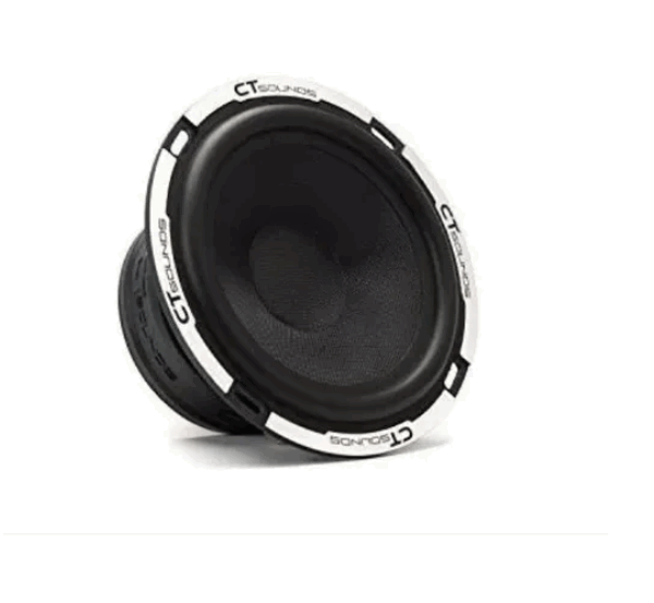 Conjunto De Altavoces De Componentes De 65 Pu