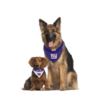 Bandana reversible new york giants para mascota - Imagen 2