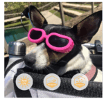 Top Paw Gafas para perros pequeños - Imagen 3