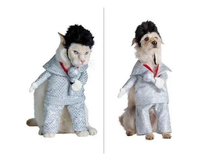 Screenshot_2-117.png Disfraz Estrella De Rock Para Perro Talla L - Imagen 2