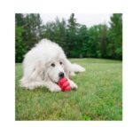 Kong Juguete Perros Classic Talla Xl - Imagen 2