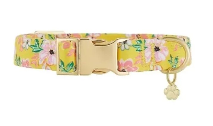 Screenshot_2-87.jpg Collar Neopreno Floral Top Paw Para Perro Talla L X2 Unid - Imagen 2