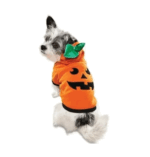 Disfraz Calabaza Talla Xs Para Perro/gato Bootique