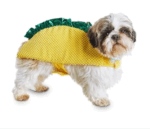 Disfraz De Taco Para Perro/gato Talla Xs - Imagen 2