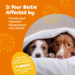 Zesty Paws Hemp Elements Plus Calming Bites: Suplemento Relajante Avanzado con Cáñamo y Melatonina para Perros, Ayuda con la Ansiedad y el Estrés - Imagen 3