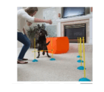 Training Kit Para Perros - Imagen 3