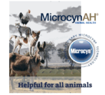 MicrocynAH - Gel en aerosol antipicazón con dimeticona hidratante para perros - Imagen 3