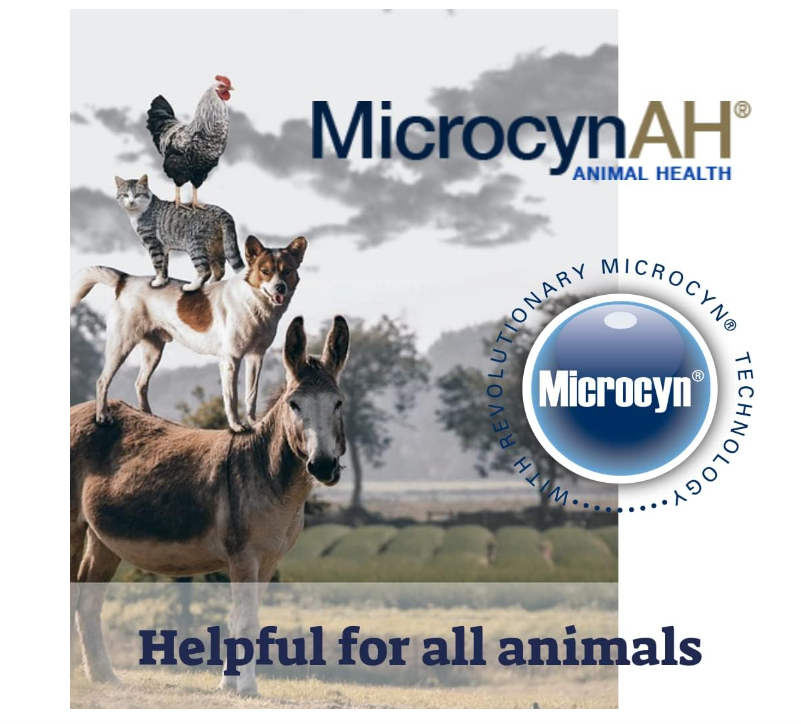 Screenshot_3-20-9.png MicrocynAH - Gel en aerosol antipicazón con dimeticona hidratante para perros - Imagen 3