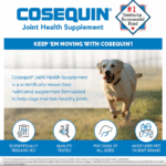 Cosequin DS Plus MSM para perros, 60 masticables blandos - Imagen 3
