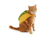Disfraz De Taco Para Perro/gato Talla Xs - Imagen 3