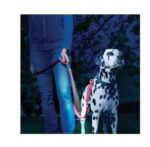 Nite Ize Leashlit Linterna Led - Imagen 3