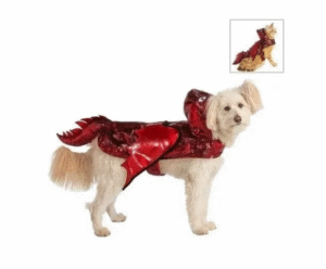 Disfraz Dragon Rojo Talla L Perro/gato Thrills Y Chills - Imagen 3